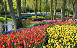 818澳洲那些既便宜又超級(jí)好用的護(hù)膚品....