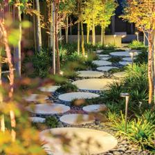 園林景觀設(shè)計的自然美!