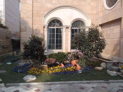 想要家里風水好一定要避開八大不吉利樹