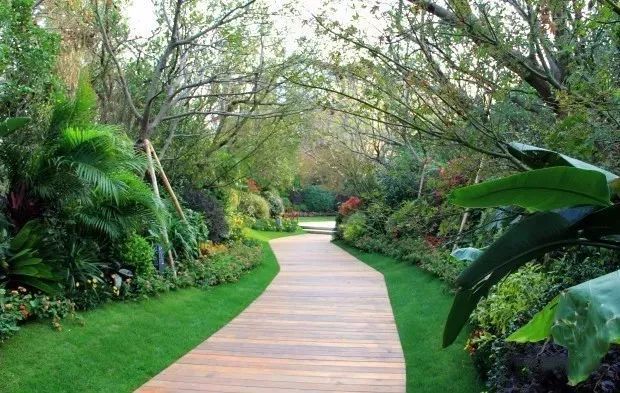 【園林景觀】深度解析景觀植物配置