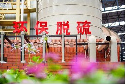 四川建園建材:以&ldquo;園林式磚廠&rdquo;引領(lǐng)行業(yè)趨勢