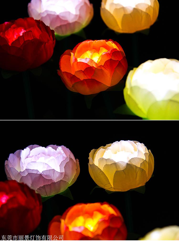 中國牡丹園:春節(jié)花燈年味足 免票活動(dòng)暖人心_中國山東網(wǎng)_菏澤