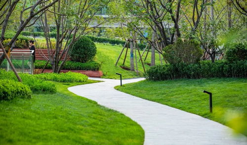 盤點(diǎn)2019 順景園林精品項(xiàng)目回顧