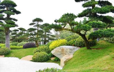 讓你大開眼界的植物設計！探索園林設計的無限可能