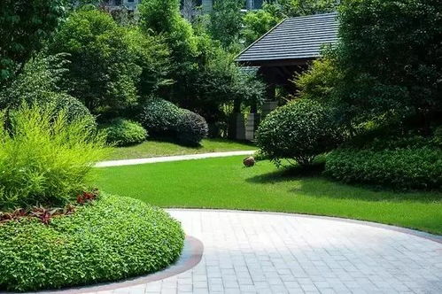 設計師必看 景觀設計與園林設計的幾大常見誤區