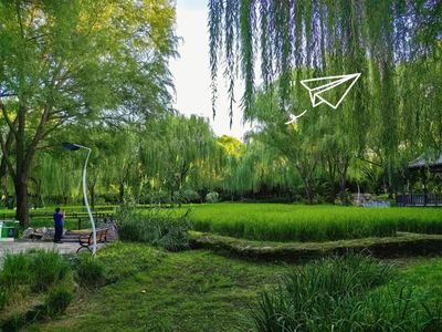 稻田與荷塘相映成趣，昆玉河畔的‘小江南’園林設計美不勝收