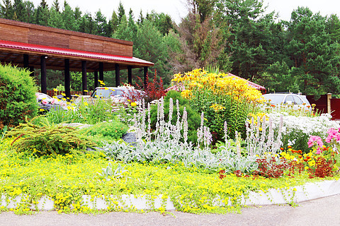 園林與風景圖 設計中的視覺敘事與意境營造